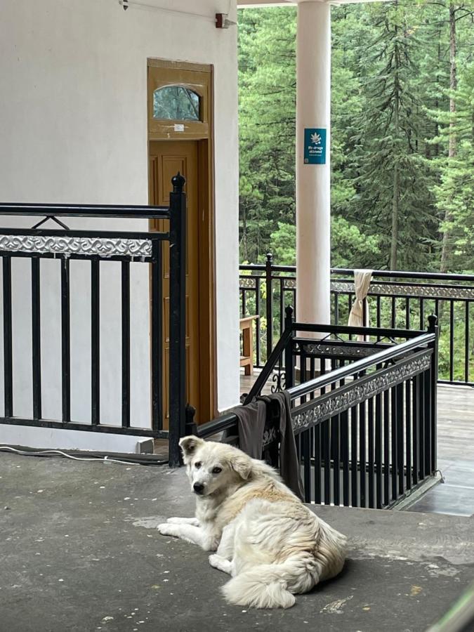 Wabi Sabi Riverside Hostel Kasol Esterno foto